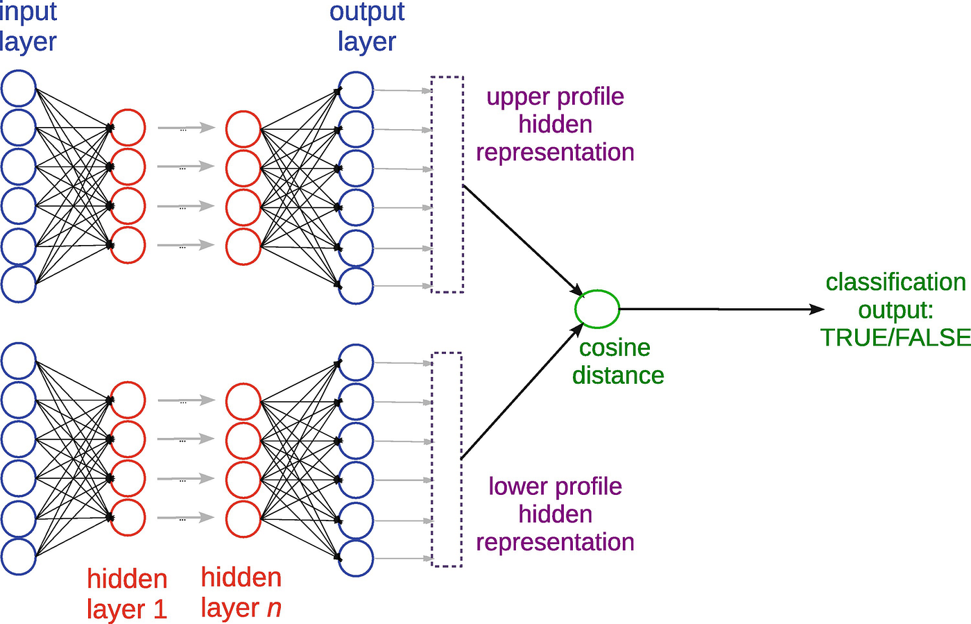 Siamese Neural Network